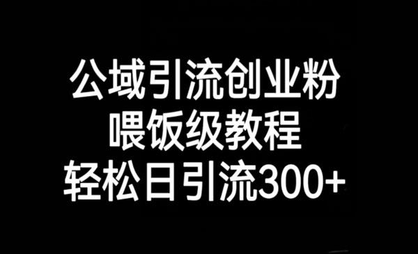 《公域引流创业粉教程》轻松日引流300+_wwz