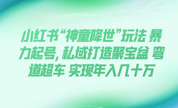 《小红书“神童降世”暴力起号变现项目》私域打造聚宝盆 弯道超车 实现年入几十万_wwz