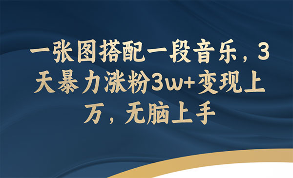 《图片+音乐文案号项目》3天暴力涨粉3w+变现上万，无脑上手_wwz