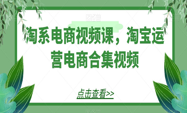 《淘系电商视频课》淘宝运营电商合集视频_wwz