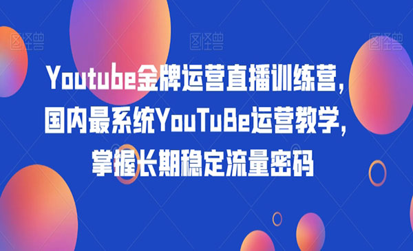 《Youtube金牌运营直播训练营》国内最系统YouTuBe运营教学，掌握长期稳定流量密码_wwz