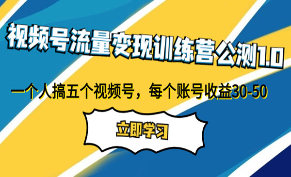 《视频号流量变现项目》一个人搞五个视频号，每个账号收益30-50_wwz