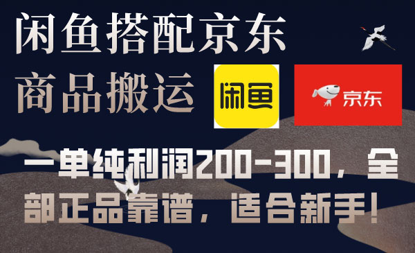 《闲鱼+京东备份库搬运项目》一单纯利润200-300，全部正品靠谱，适合新手！_wwz