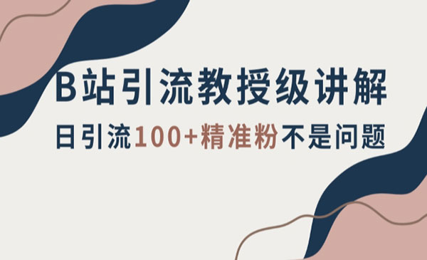 《B站引流教授级讲解》细节满满，日引流100+精准粉不是问题_wwz
