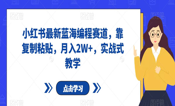 《小红书最新蓝海编程赛道》靠复制粘贴，月入2W+，实战式教学_wwz