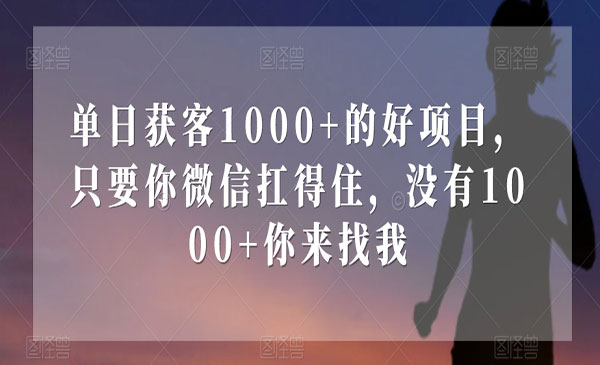 《单日获客1000+的好项目》只要你微信扛得住_wwz