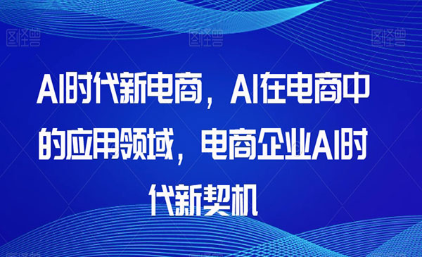 《电商企业AI时代新契机》Al时代新电商_wwz