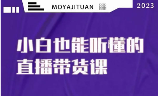 《能听懂的直播带货课》_wwz