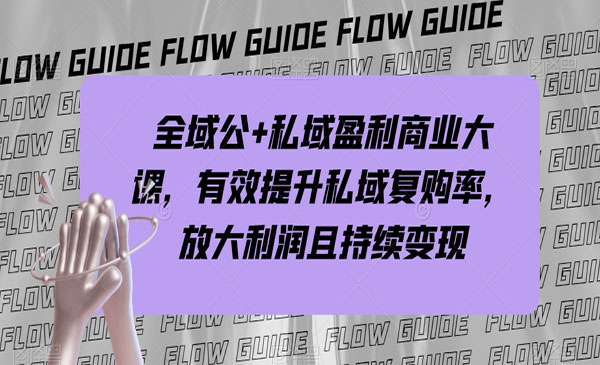 《全域公+私域盈利商业大课》有效提升私域复购率，放大利润且持续变现_wwz