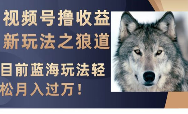 《视频号撸收益新玩法》目前蓝海玩法，轻松月入过万_wwz