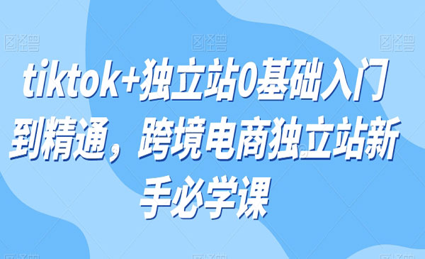 《tiktok+独立站0基础入门到精通》跨境电商独立站新手必学课_wwz