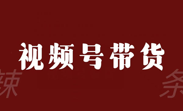 《视频号带货信息差变现》_wwz