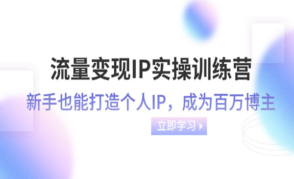《流量变现IP实操训练营》_wwz