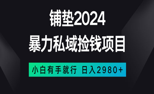 《暴力私域捡钱项目》_wwz