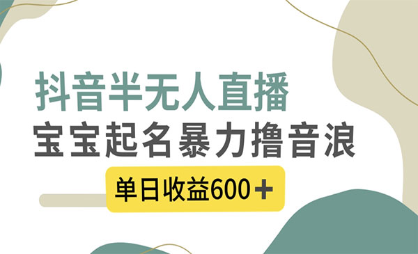 《抖音半无人直播宝宝起名项目》_wwz