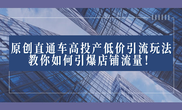 《直通车高投产低价引流玩法》_wwz