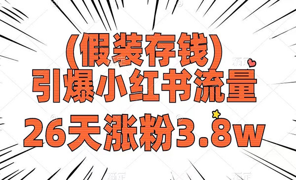《小红书假装存钱引爆流量》_wwz