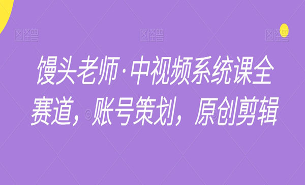 《中视频全赛道系统课》_wwz