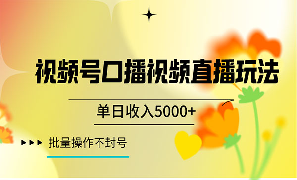 《视频号口播视频直播玩法》_wwz