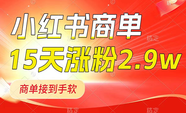 《小红书商单接到手软》_wwz