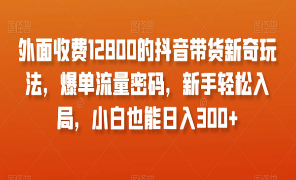 《抖音带货爆单流量密码》_wwz