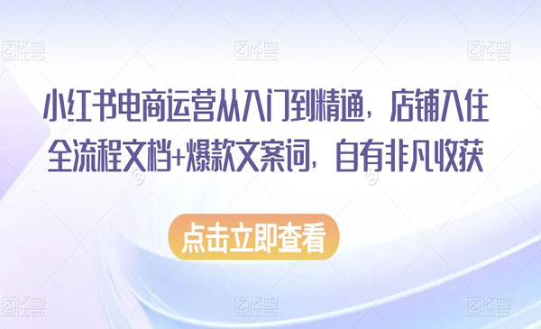 《小红书电商运营从入门到精通》_wwz