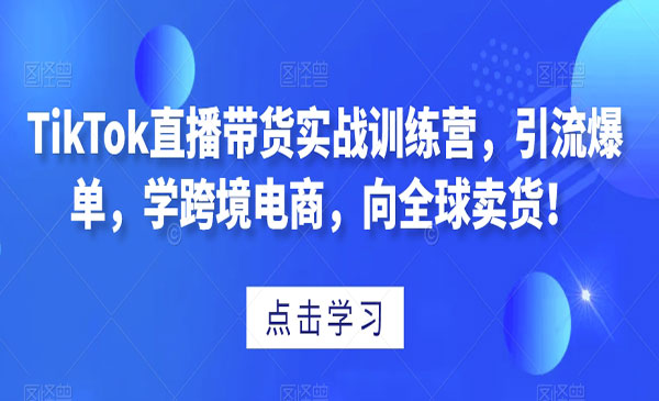 《TikTok引流爆单带货实战》_wwz