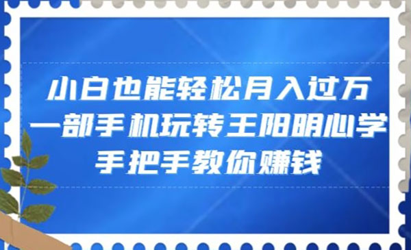《王阳明视频项目》_wwz
