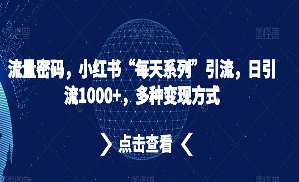 《小红书流量密码》_wwz