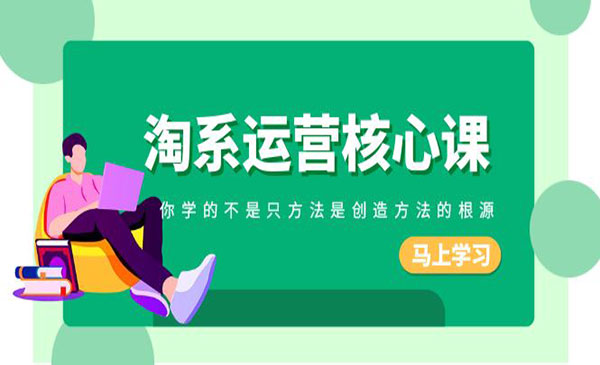 《淘系运营核心课》_wwz
