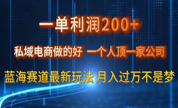 《私域电商蓝海赛道》_wwz