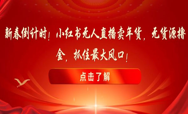 《小红书无人直播卖年货》_wwz