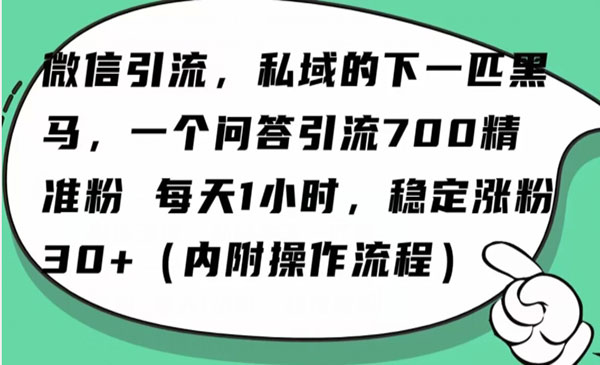 《Ai问答日引100精准粉》_wwz