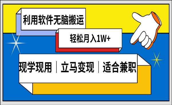 《视频无脑搬变原创项目》_wwz