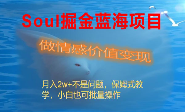 《Soul情感价值变现》_wwz