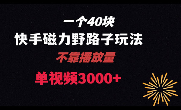 《快手+美团磁力新玩法》_wwz