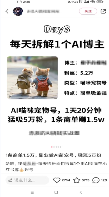 《小红书Animal秀项目》_wwz