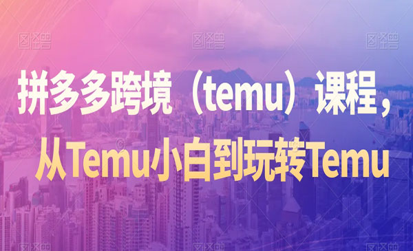 《拼多多跨境实战》_wwz