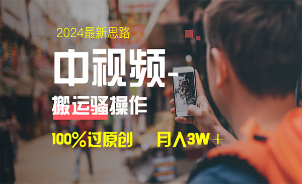 《中视频双重去重100%过原创》_wwz