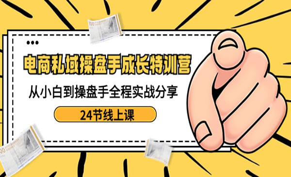 《电商私域操盘手成长特训营》_wwz