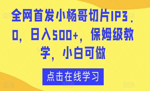 《小杨哥切片IP3.0项目》_wwz