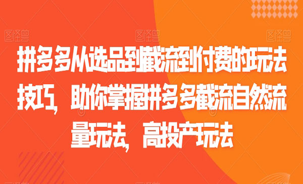《拼多多截流自然流量玩法》_wwz