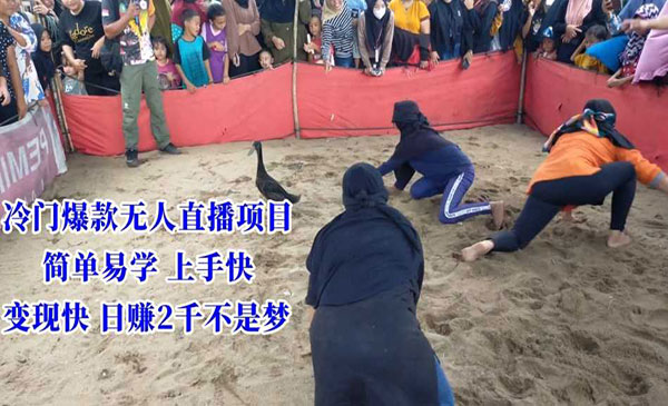 《冷门爆款无人直播项目》_wwz
