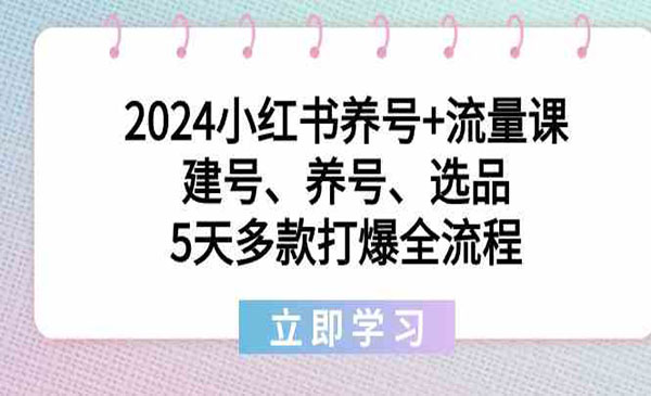 《小红书养号流量课》_wwz