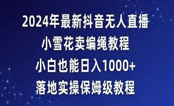 《无人直播小雪花卖编绳项目》_wwz
