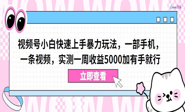 《视频号小白快速上手暴力玩法》_wwz