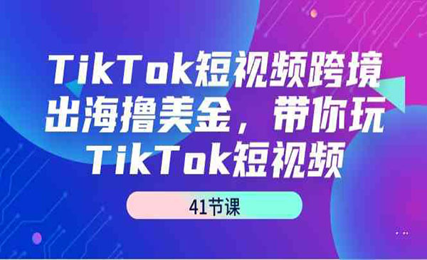 《TikTok出海撸美金》_wwz