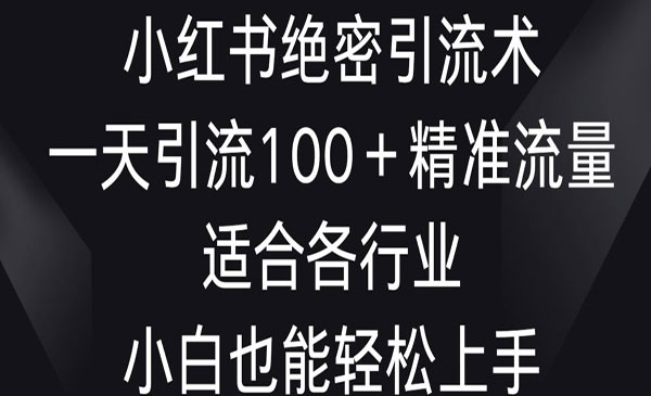 《小红书绝密引流术》_wwz