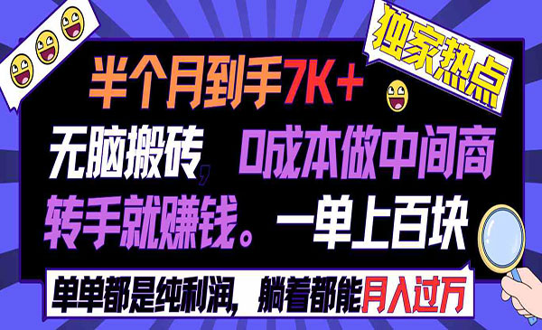 《闲鱼无脑搬砖项目》_wwz