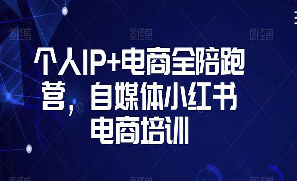 《个人IP+电商全陪跑营》_wwz